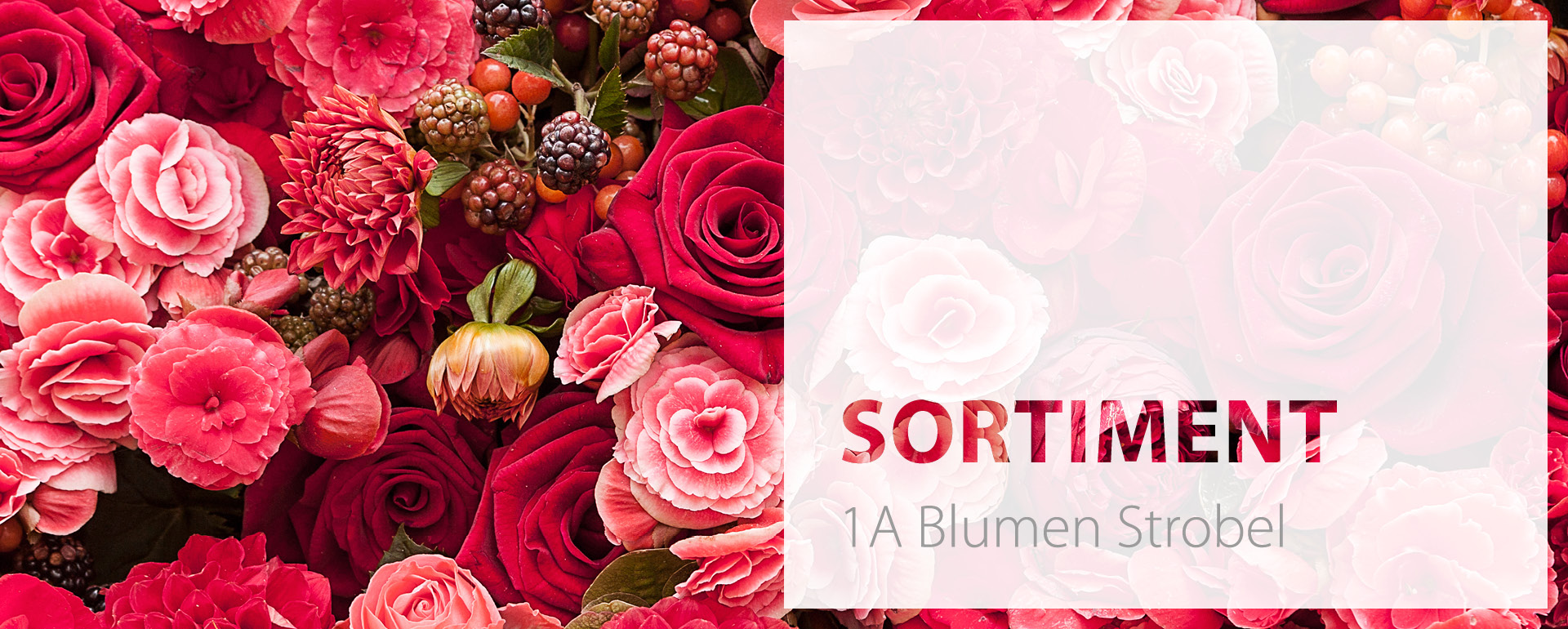 1a-blumen-strobel-fuerth-Sortiment