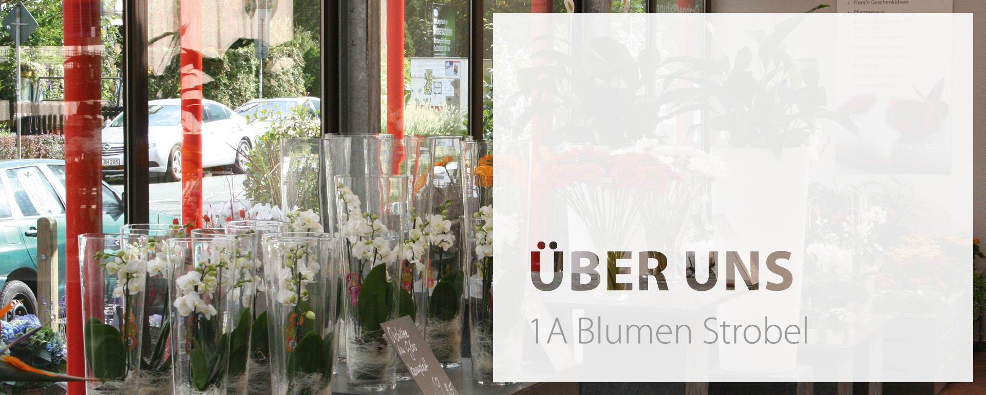 1a-blumen-strobel-fuerth-ueber-uns