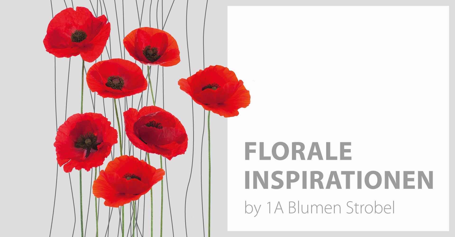 1a Blumen Strobel Kreative Floristik Und Meisterstrausse In Furth